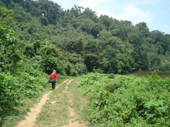 caminante