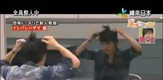 Los japoneses son graciosos