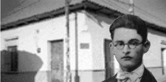 Los ojos de los bueyes