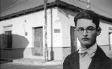 Los ojos de los bueyes