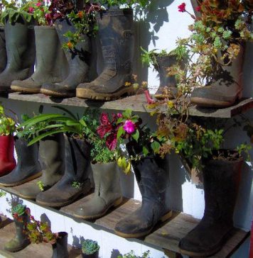 Macetas con botas