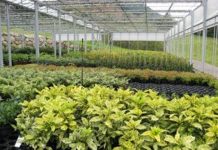 Siete negocios que me gustaría tener