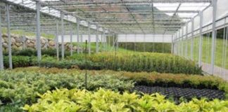 Siete negocios que me gustaría tener