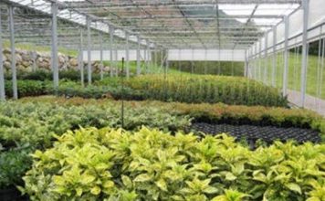 Siete negocios que me gustaría tener