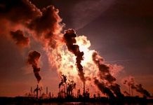 Día mundial del Medio Ambiente