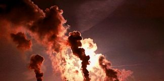 Día mundial del Medio Ambiente