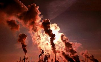 Día mundial del Medio Ambiente