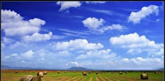 La parábola del sembrador