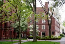 Me admitieron en Harvard