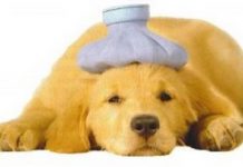 Jueves: Cansado e indispuesto