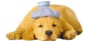 Jueves: Cansado e indispuesto