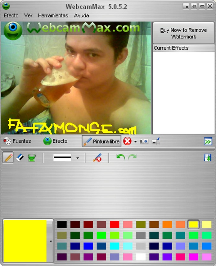 Pintura Libre en WebcamMax