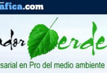 La importancia de un árbol