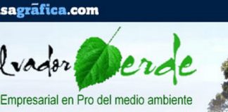 La importancia de un árbol