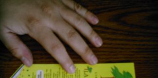 Editoriales La Ceiba y sus separadores aburridos