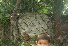 En el Zoológico de San Salvador