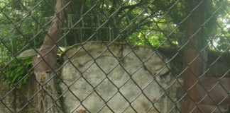 En el Zoológico de San Salvador