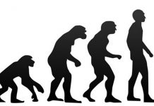 En esta etapa de mi vida