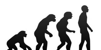 En esta etapa de mi vida