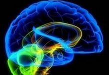 Human Storage Transfer Protocol Interface (HSTPI)