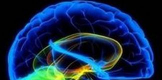 Human Storage Transfer Protocol Interface (HSTPI)