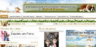 Perros.com