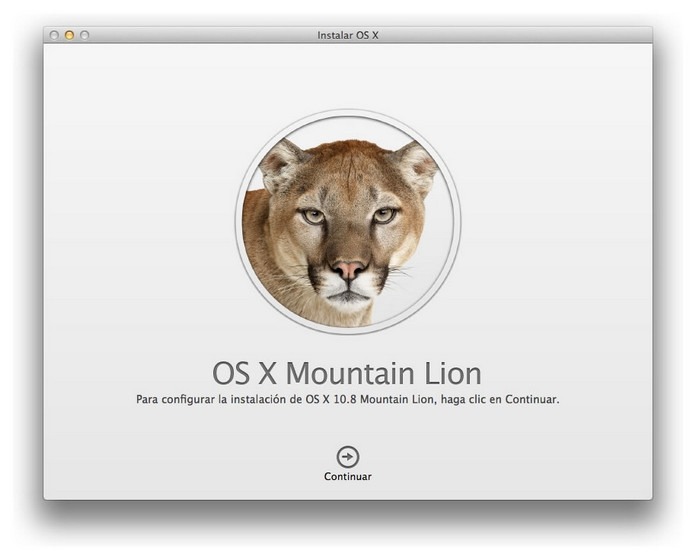 mountain-lion