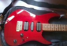 Y se fue la Yamaha RGX-121D