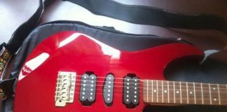 Y se fue la Yamaha RGX-121D