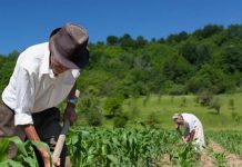 Derecho Agrario y Derecho de la Reforma Agraria