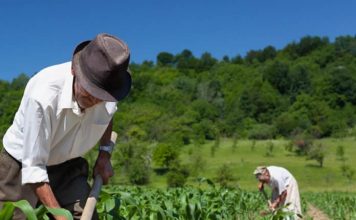 Derecho Agrario y Derecho de la Reforma Agraria
