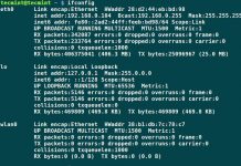 Renovar la IP de nuestro adaptador de red en Linux Debian