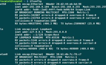 Renovar la IP de nuestro adaptador de red en Linux Debian