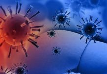 Hepatitis colestásica de VHA