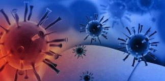 Hepatitis colestásica de VHA