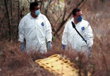 Innovación Iberoamericana: Investigación del delito