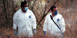 Innovación Iberoamericana: Investigación del delito