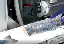 Maquinaria para la industria de alimentos