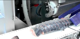 Maquinaria para la industria de alimentos