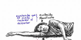 Complementos a la Teoría Onírica