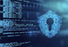 Infraestructura Web y Seguridad