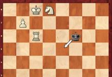 2008 Linares-Morelia Ronda 9