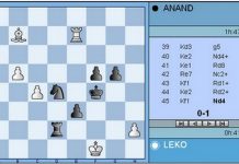 Ronda 5 en Morelia-Linares 2008