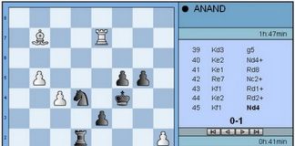 Ronda 5 en Morelia-Linares 2008