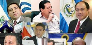 Función pública y utilidad social